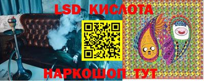 спиды Обь