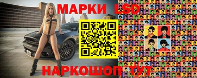 спиды Обь