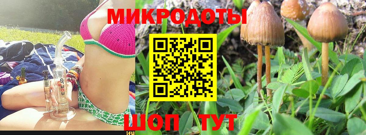 Северск  Галлюциногенные грибы Psilocybine cubensis  Вход с VPN 